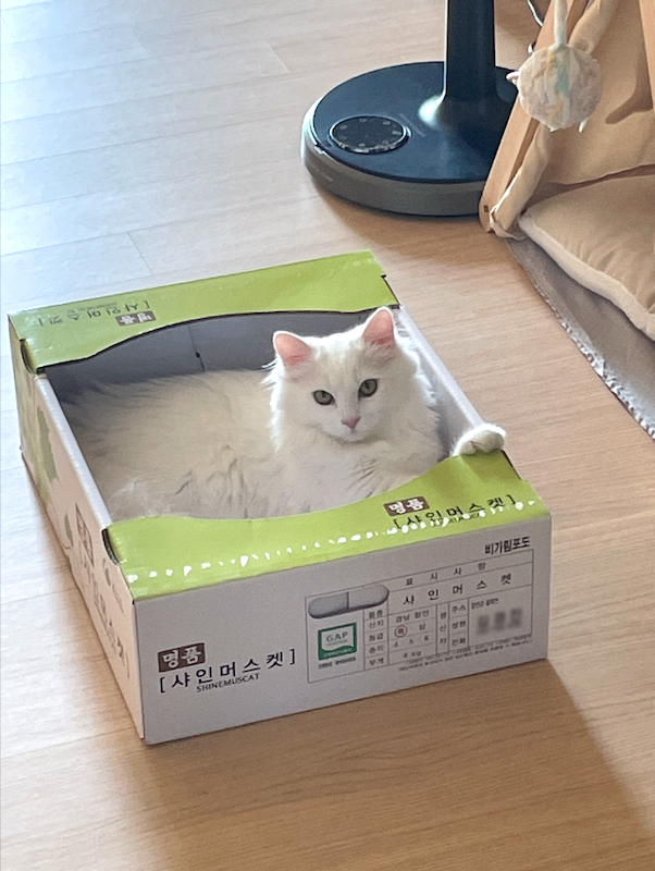 나의 작은 가족