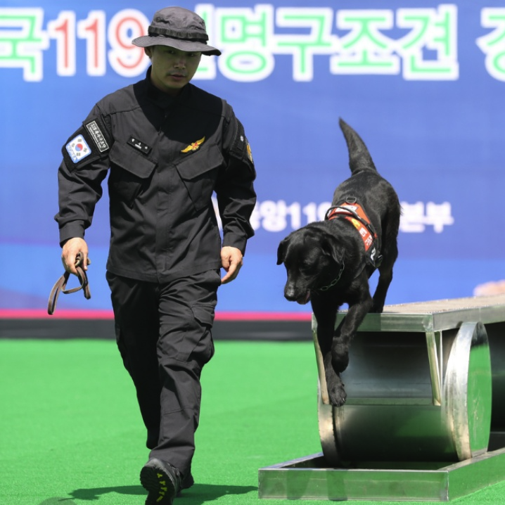 네발의 영웅 ‘119구조견’ 지난해 27명 구조 맹활약